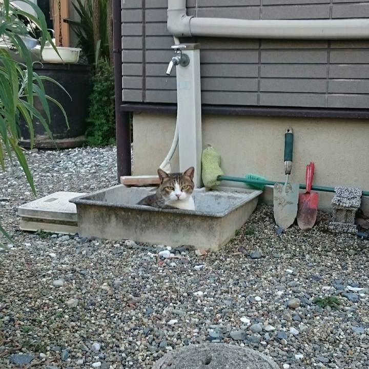 947e522c fca4 4f8b 9c5b 4e569749b374