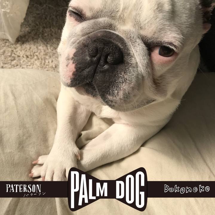 947f24d3 4e02 4fe5 8b85 97924ddf3751