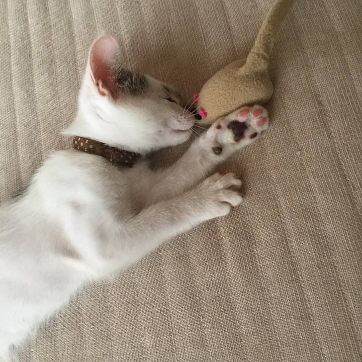 947fab4c c8e4 4b20 a4b8 7692c9b1d53a