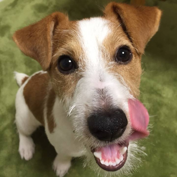 947fef74 4dcc 492f a9b9 7e9b08987cee