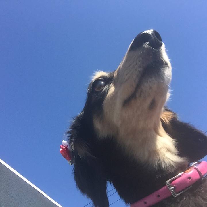 94801525 14e0 4d7f 8aff bde60074567d