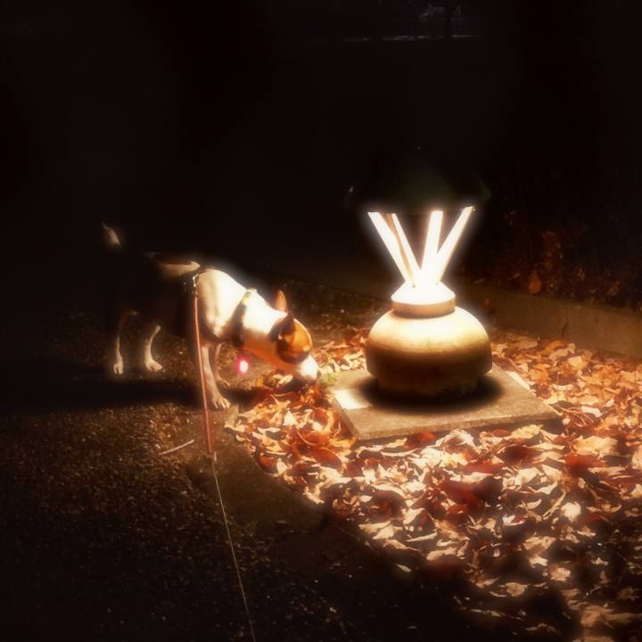 9480d7e6 4aab 45e3 8f06 c87cb0ab63be