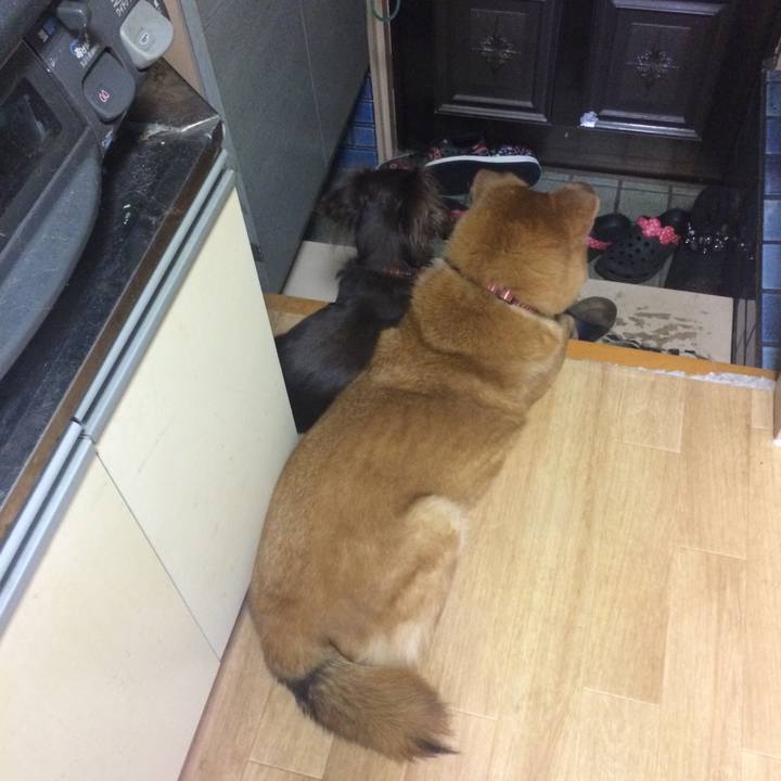 9481264d f35f 4d65 8df6 6e99d4096ce3