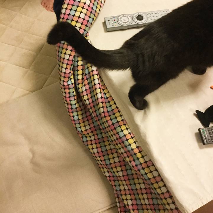 948139aa 4461 4351 a566 4b6c6e0aaba7