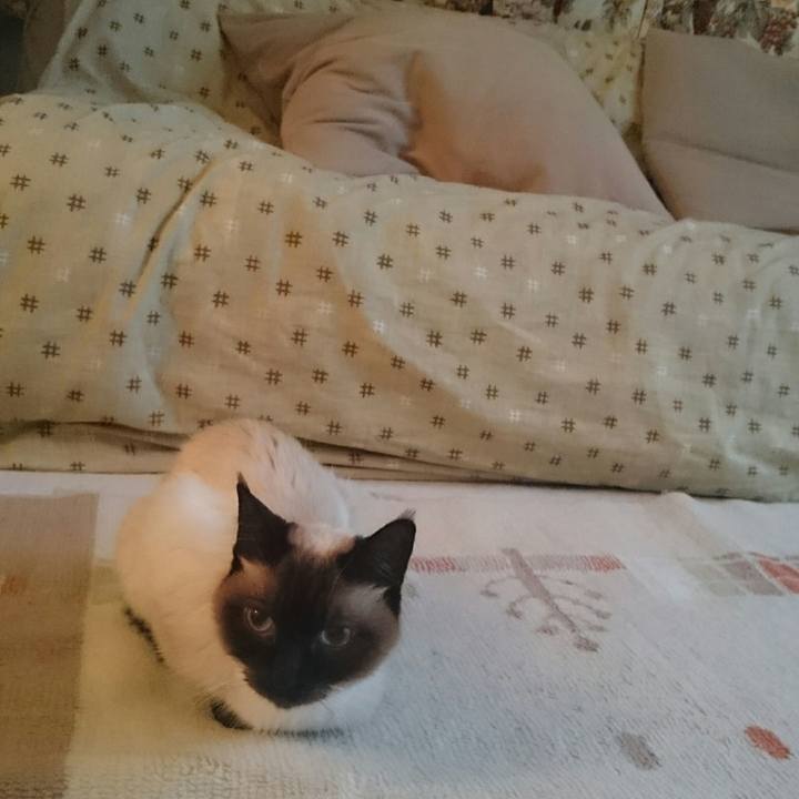 9481a3e0 25e9 4a1c 8388 89f29dd4efd5