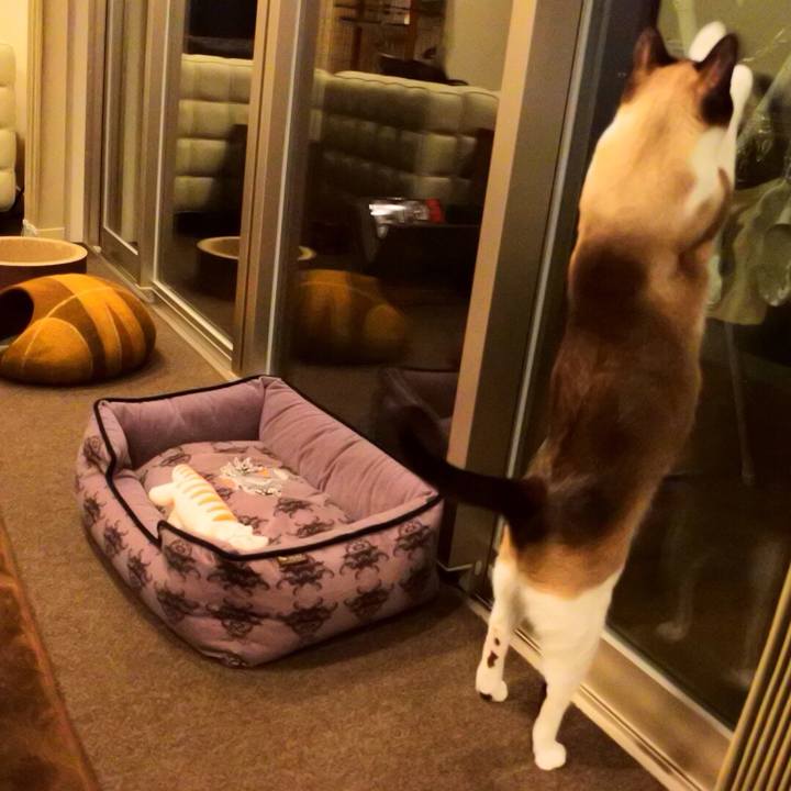 9481d19f 630a 4098 a265 33fe14c5689f