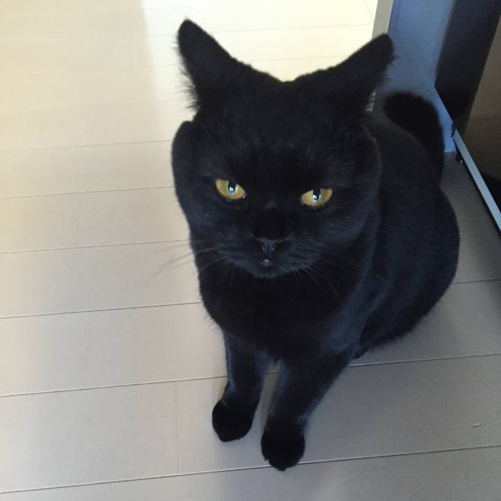 94823d4c bad9 4633 a873 c62acffe8539