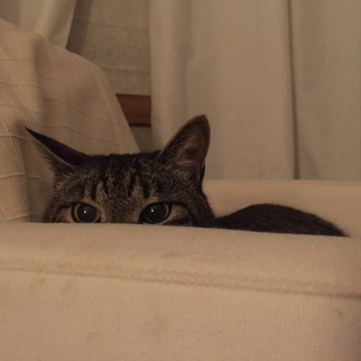 94824ffa c9c5 4f93 8473 cae1f82b018e