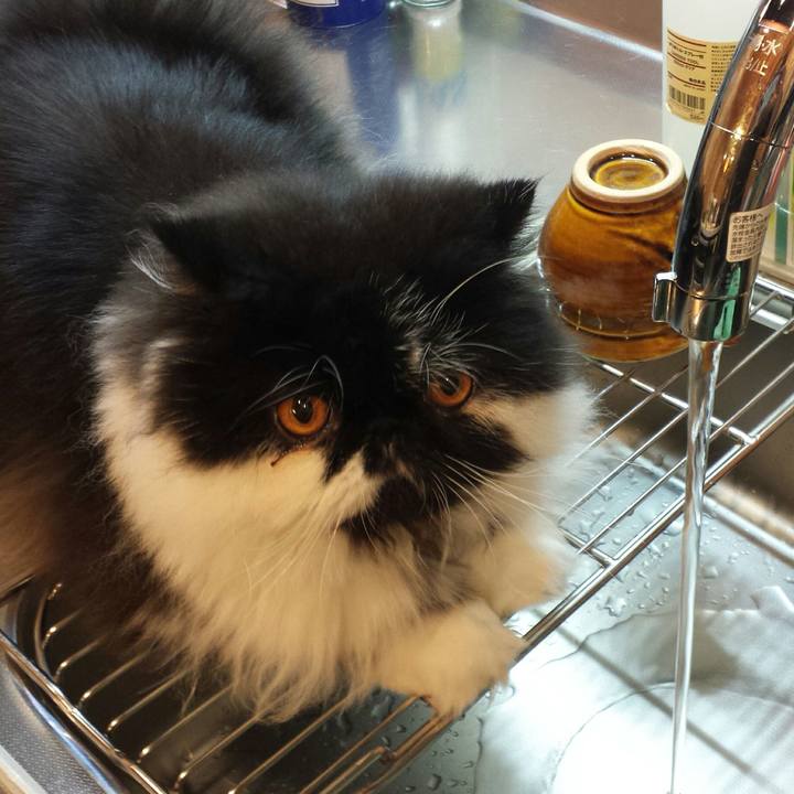 94828333 3053 4369 9af2 a60354866302