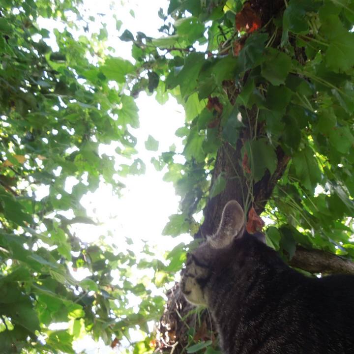 948308e3 e672 43df b1ee 53e91818fdf8