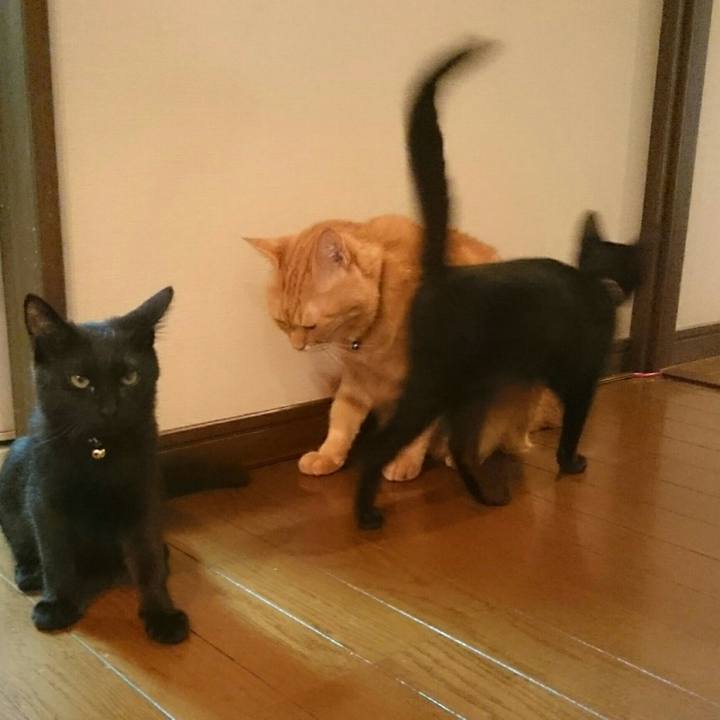 948379ef 21cc 41f9 b790 93b5b7664013