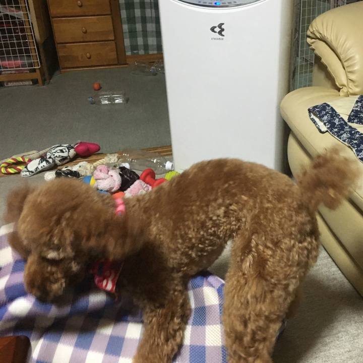 94840ec7 7f52 4b2c 82f2 40dbc2cb1cdd