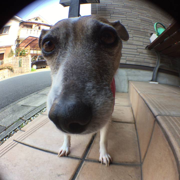 94844413 1779 4ce1 869c 6e9a74926c4a