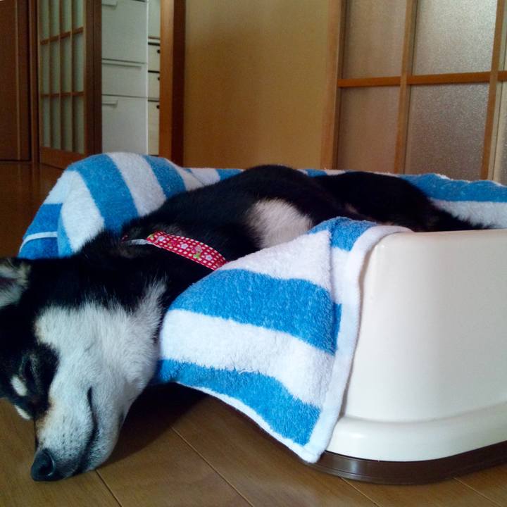 9484da65 092d 4fca bc82 5b35455fc5f7