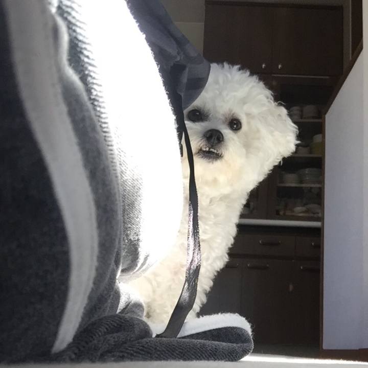 94851987 7940 488b a9e3 f715f1f5b868