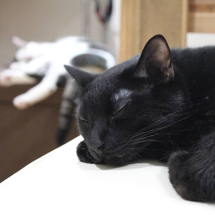 948583e3 7205 4595 bd2b ac926cf56d54