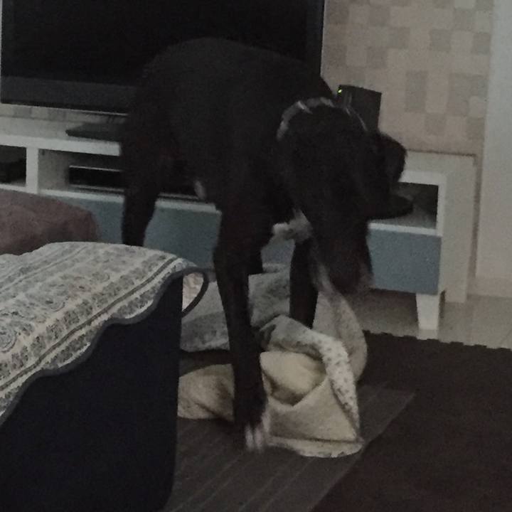 94862dd6 5f04 4446 8e85 3a215c289bb1