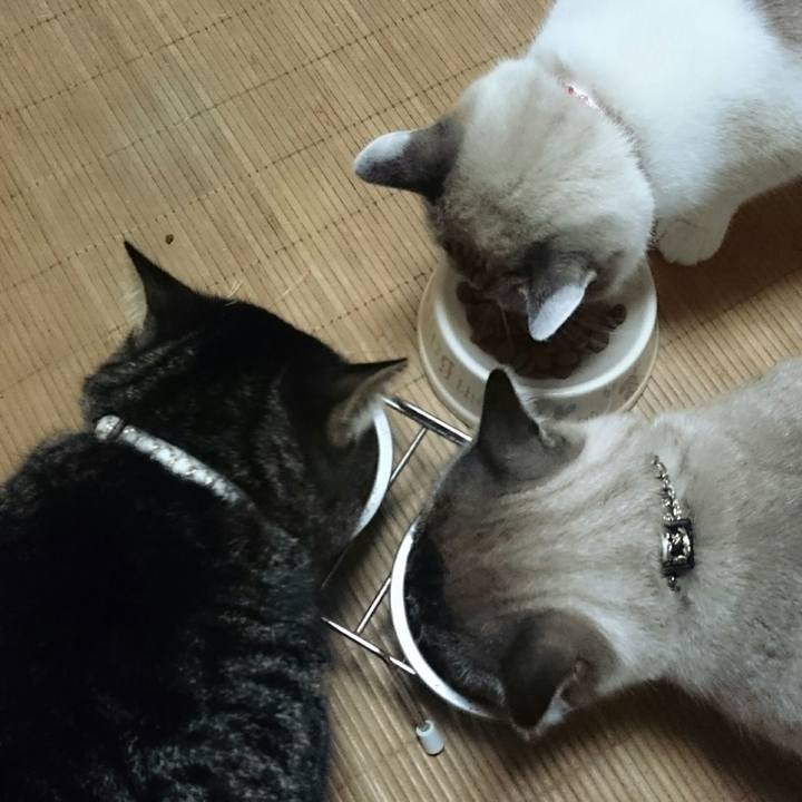 94866e09 c060 4a5e bd9f 59a4da373291