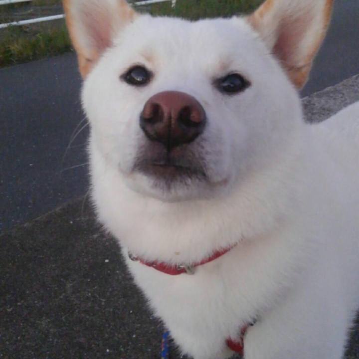 948698a4 c8a8 4a7b 8f8e 2b65d89c3395