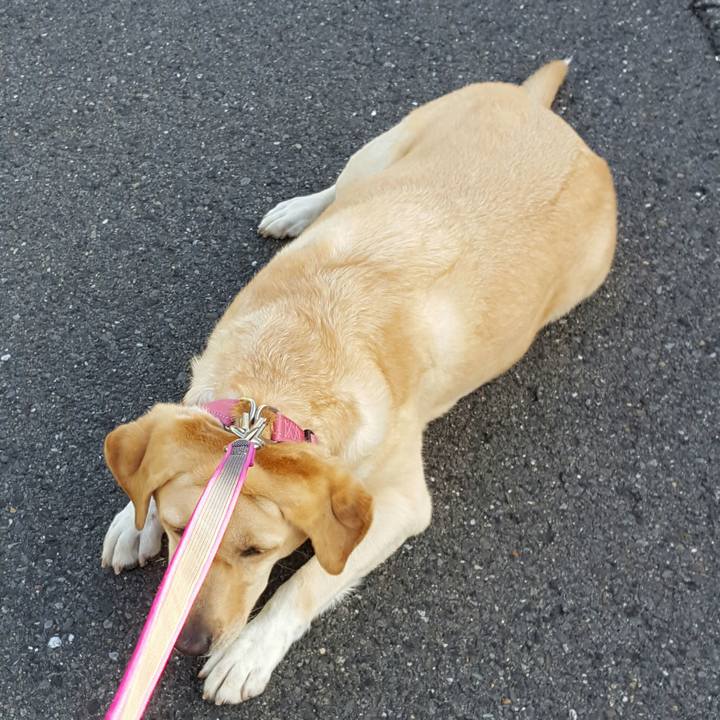 9486b320 822f 446b af83 c11cad539797