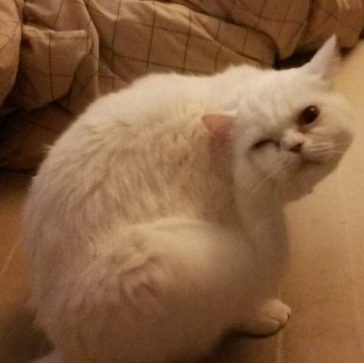 9486fcb3 31b8 4547 abfb 2a86a7f05787