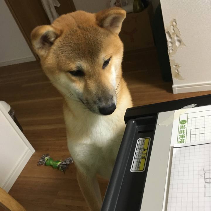 9487276f d2a1 4dd1 963a d5bc0d9ace95