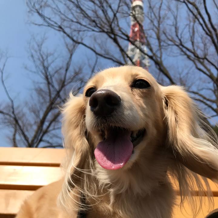 94872c73 c69c 40ff 8c31 0a9093481d9c