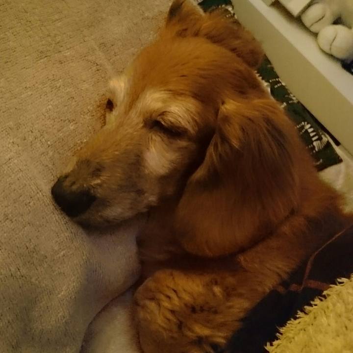 94876bbf 5b07 4aa4 8f46 fe6663096622