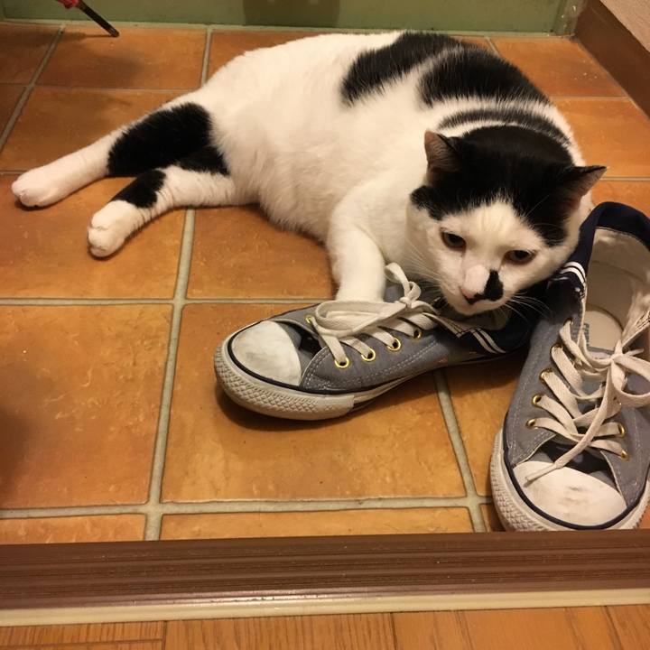 94878e75 8b00 48b9 a6d6 145ea21adca9