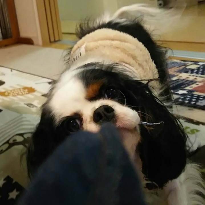 948830f6 de42 4941 921d 2f6fdb46fe9f