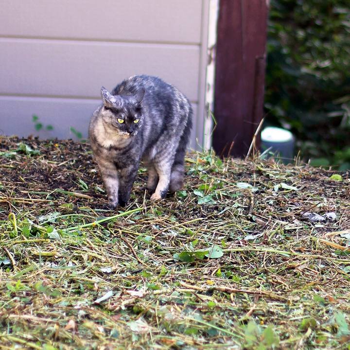 9489302d 7ebc 4371 8dab c050cec1be8d