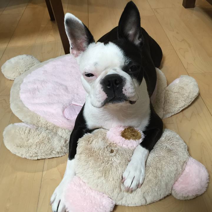 9489467e 533b 4ca1 810c ad23801a056f