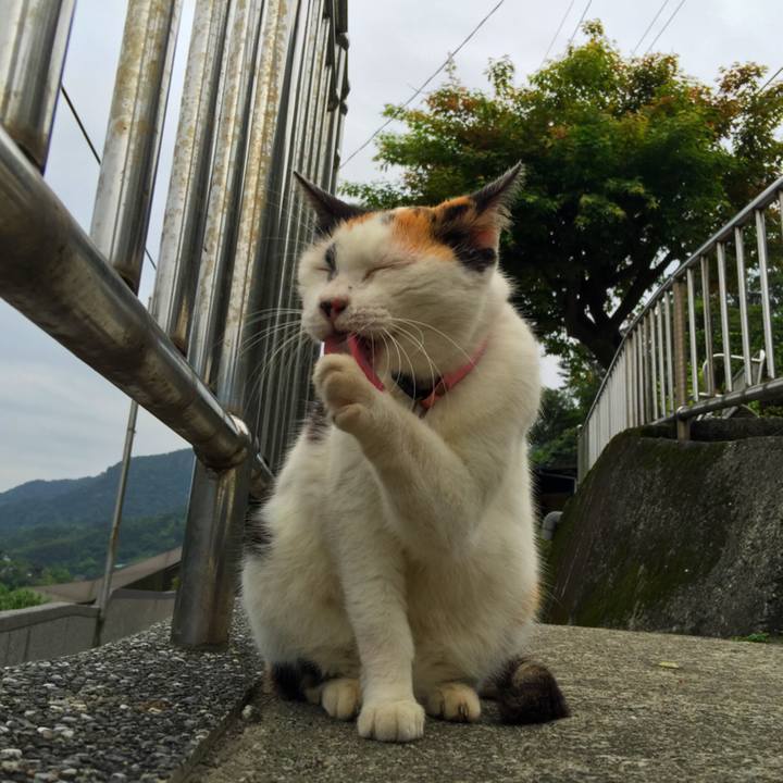 94899b67 5d45 4be2 a3a3 31c4b491a30b