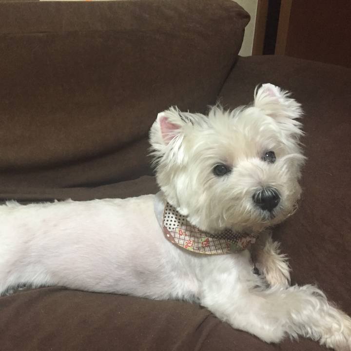 948a3fdc 5e2d 4e7c b6f0 d9d78518e982