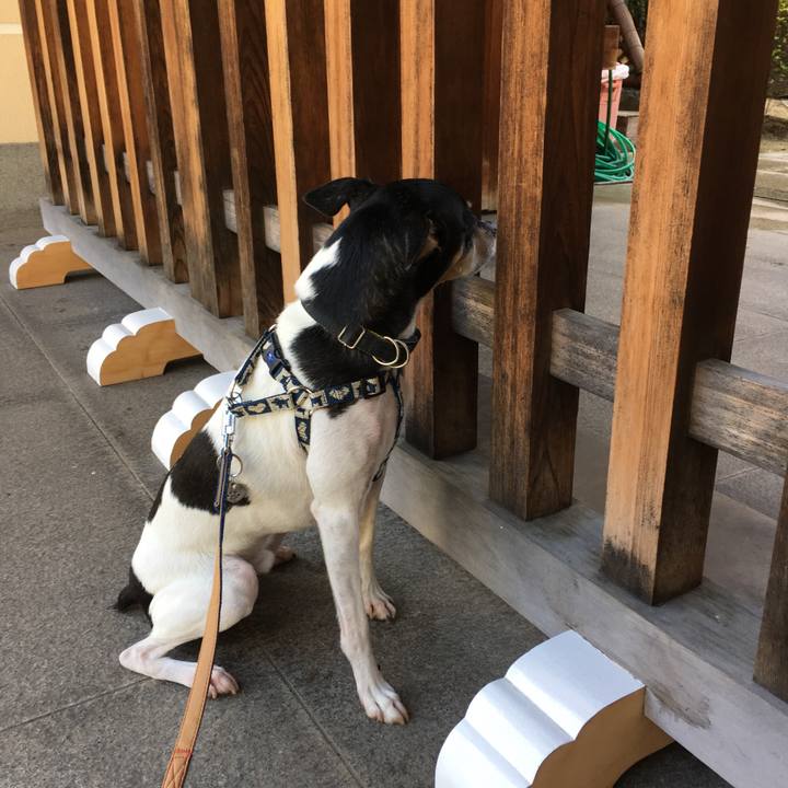 948ad54e 16c8 4f3d 8e16 3191e657085a