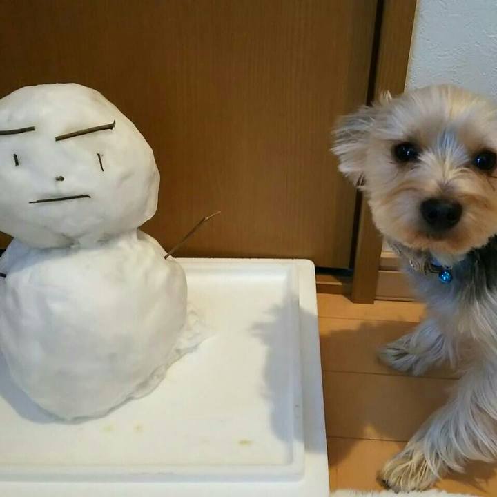 948bf050 2f84 434a b9ef 47531d863381