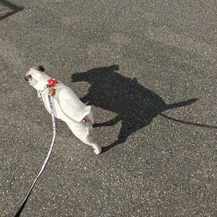 948cc2c2 8ecd 4ac9 b9c1 1eb9c3d45ce3