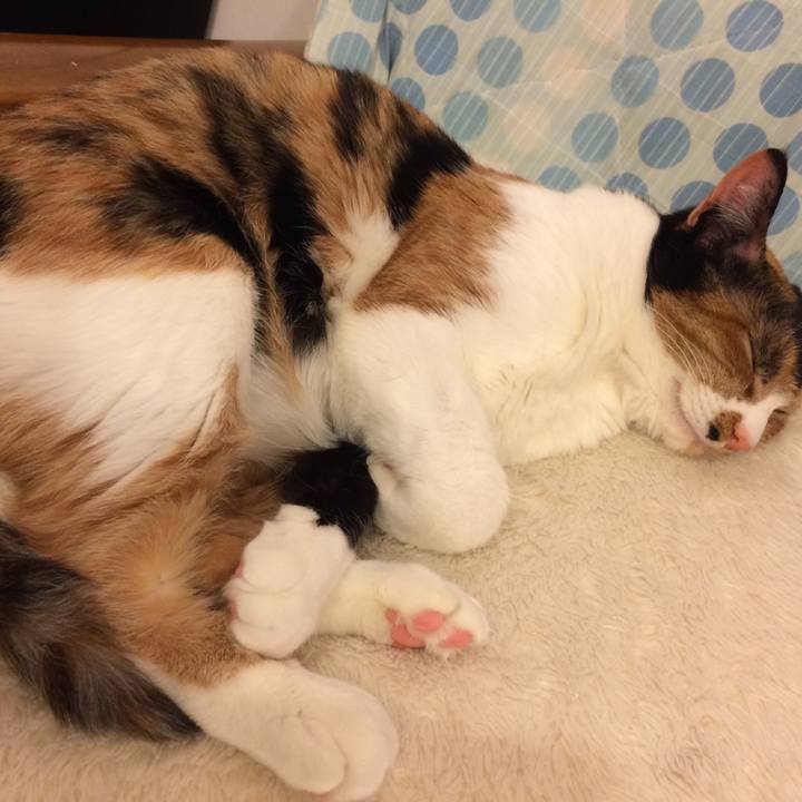 948d46a6 7597 4b8d a33a d48c00ab4ac9