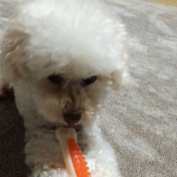 948dcd8c 642a 4223 96f4 417f581fec79