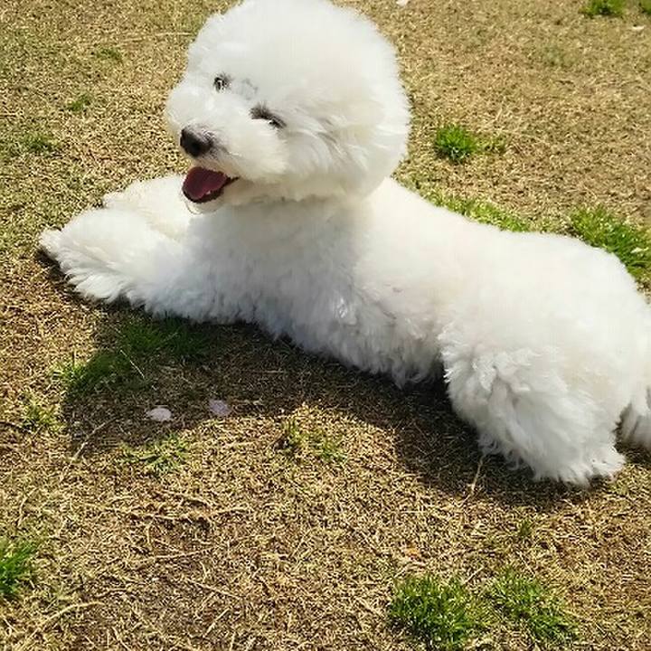 948e2ea8 c63f 4fcb 8a08 ae38ffbf5fa5