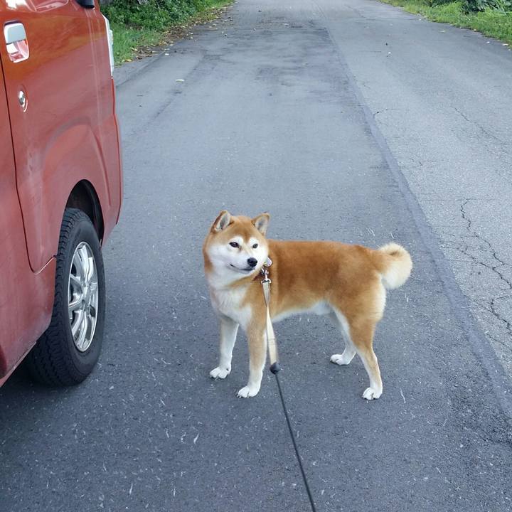 948ed321 5045 4132 8e48 bd31986f9299