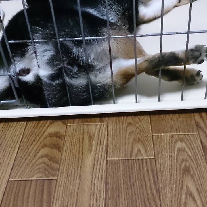 948ee0fd 83a4 49b4 8b52 3e548343e680