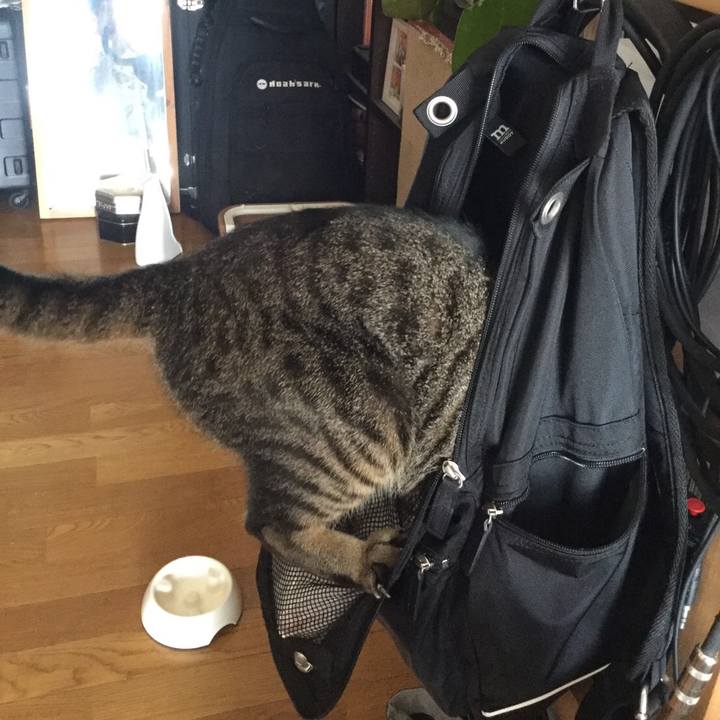 948f0d5f ca0e 419f 9e95 e53dfbbf787c