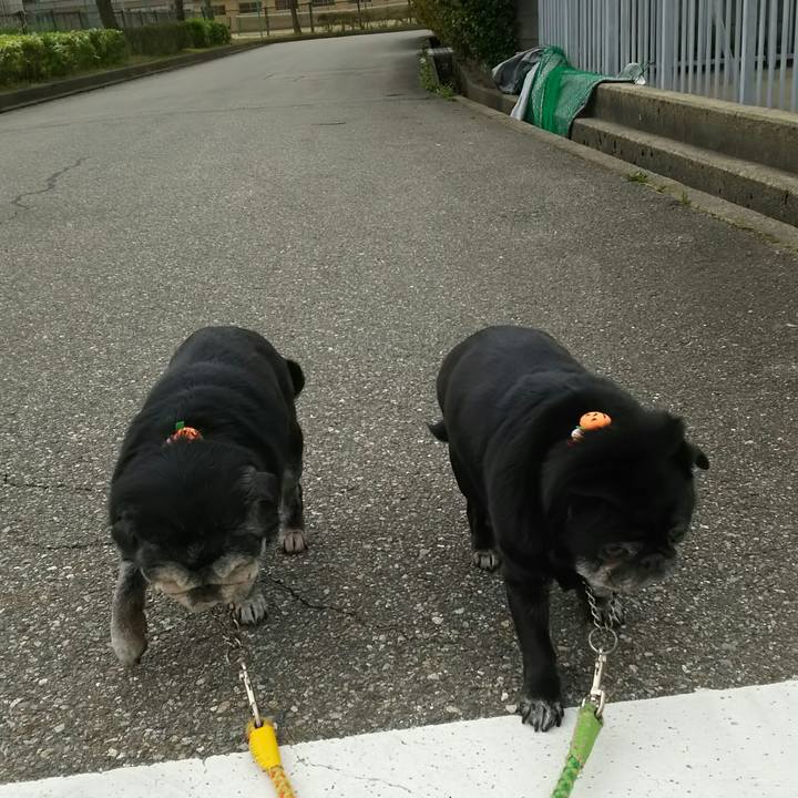 949047c5 4ebc 4229 83be a59c92578784