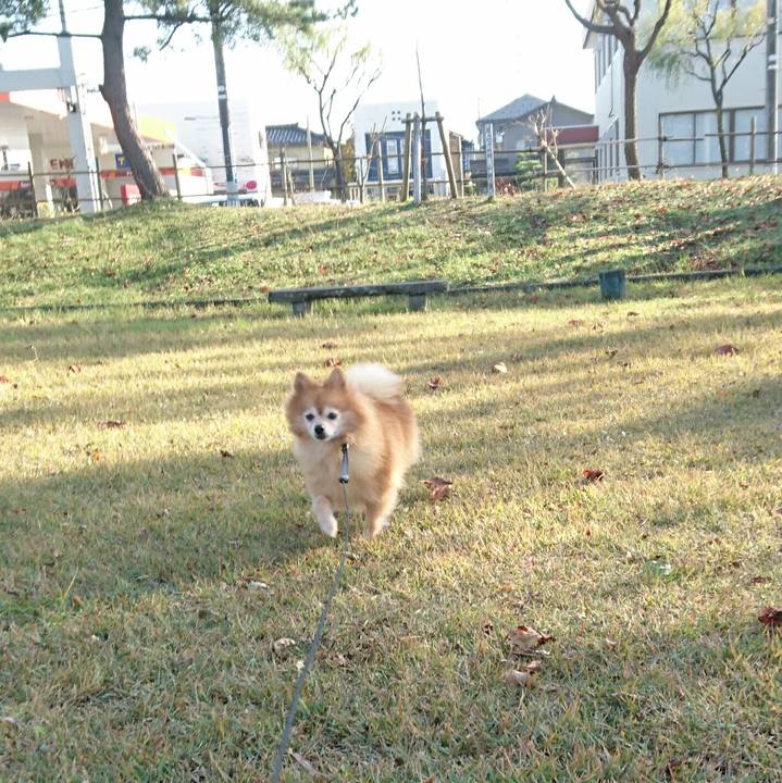 94906442 676c 47c8 9dac be61ca3061d1