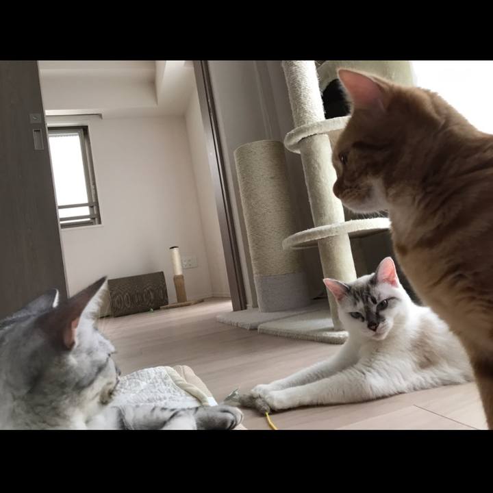 949083e5 97e8 433b b209 9a8250573647