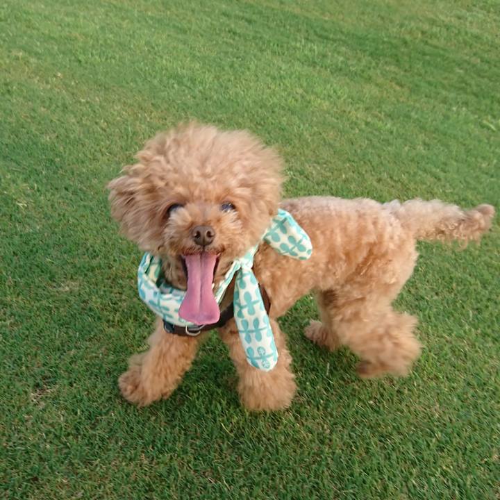 9490a4ed a038 4cfe 8383 d164be525366