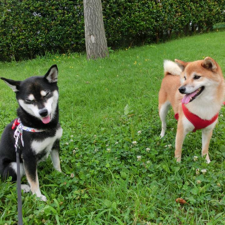 9490a8ff 584a 4976 a6fc 2863d8fcf06f