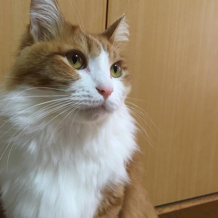 9491f8f3 c23b 44f1 8691 b58ac9f869e5