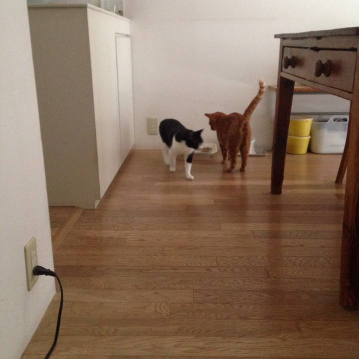 9491ff28 7671 4623 9bfe 2b9529c20010